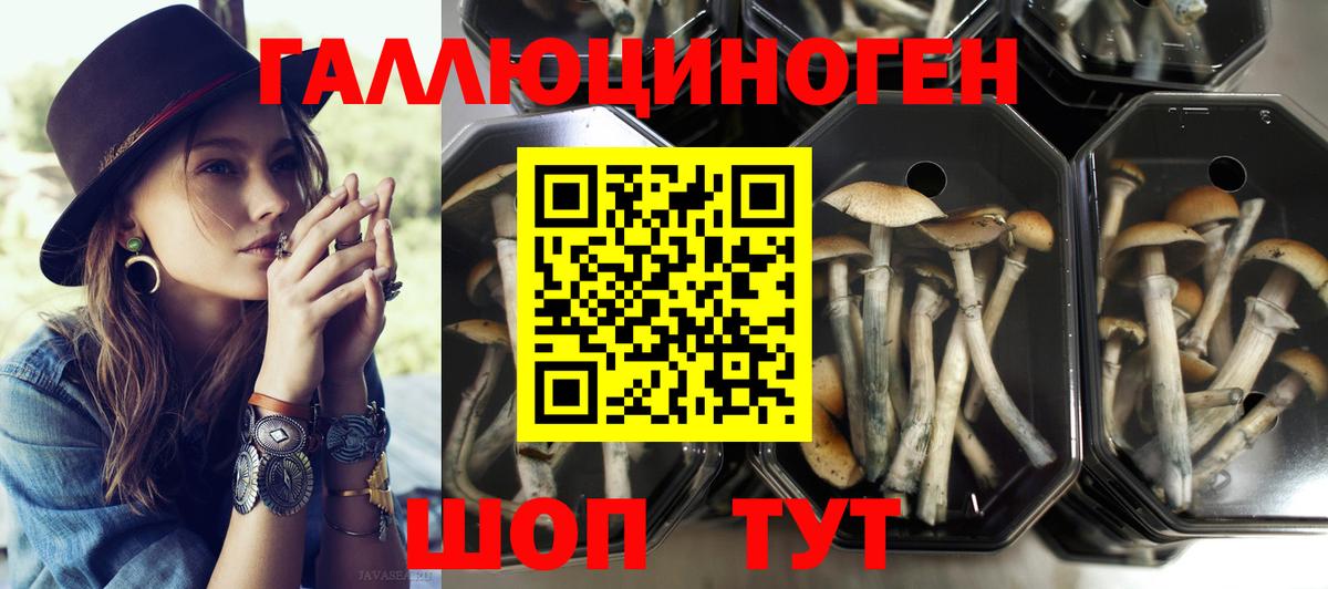 Галлюциногенные грибы ЛСД  Псилоцибиновые грибы ЛСД  купить наркотик  Вход с VPN  Дедовск 